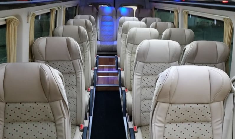 Austria: Coach company in Lower Austria in Lower Austria and Marchegg