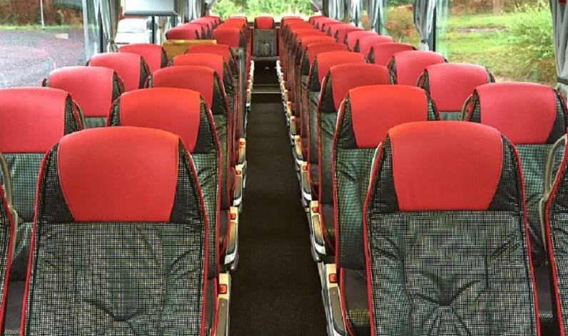 Austria: Coaches rent in Lower Austria in Lower Austria and Marchegg